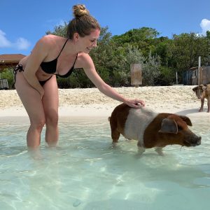 pig island tour from exuma